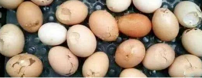 55世纪-追求康健,你我一起生长